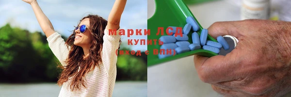 тгк Медвежьегорск