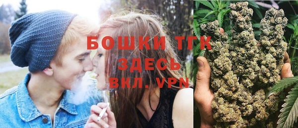 тгк Медвежьегорск