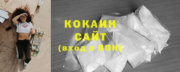 прущие грибы Мегион