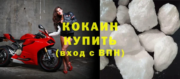 прущие грибы Мегион